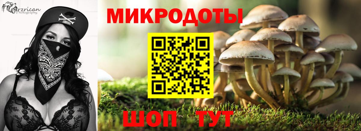 Псилоцибиновые грибы Psilocybe  Псилоцибиновые грибы ЛСД  дарнет шоп  Вход с VPN  Верхний Уфалей 